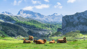 Picos de Europa – standplaats Potes